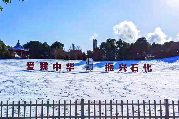3118云顶集团(中国区)官方网站